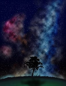 樹木と星空（赤・青）